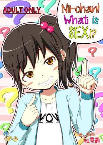 Sex Toys [Kureiji (Pooru)] Nii-chan SEX tte Nani!? | Nii-chan! What is SEX!? [English] [sneikkimies] Sailor Uniform