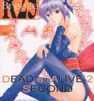 Sextoy R25 Vol.2 DoA2 SECOND- Dead or alive hentai Massive